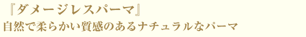 『ダメージレスパーマ』自然で柔らかい質感のあるナチュラルなパーマ