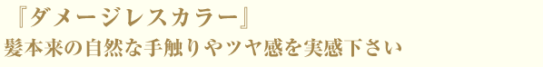 『ダメージレスカラー』　
髪本来の自然な手触りやツヤ感を実感下さい