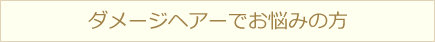 ダメージヘアーでお悩みの方